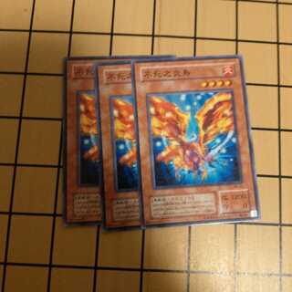 不死之炎鳥　wstorm