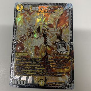 煌龍サッヴァーク　SEC1