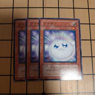 ワタポン　　wstorm