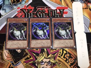 極夜の騎士ガイア ウルトラ 3枚セット てら