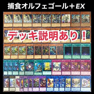 遊戯王 捕食 オルフェゴール デッキの通販 添乗員〜遊戯王デッキ 遊戯王 捕食 オルフェゴール デッキの通販 添乗員〜遊戯王デッキ