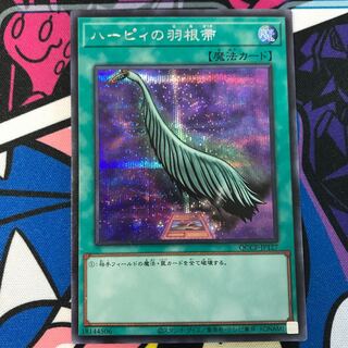 ハーピィの羽根帚 シークレットレア QCCP-JP127