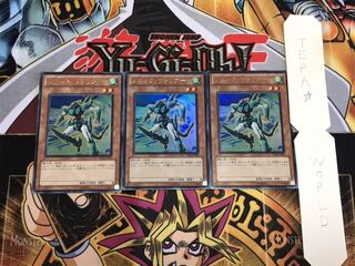 Sonic Warrior Ultra, set of 3, Tera