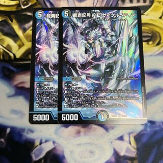 龍素記号wD サイクルペディア SR 14/84