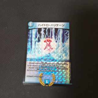 ハイドロ・ハリケーン R-foil 131/???