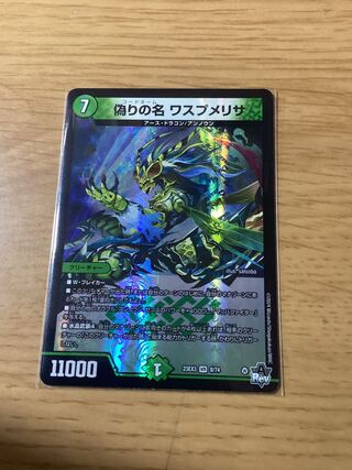 Jilt's name Wasp Melisa VR 8/74