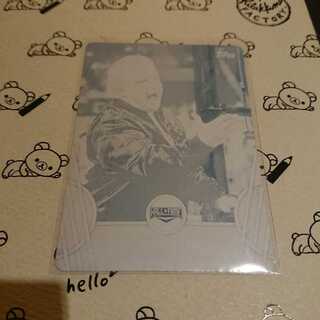 ボビーヒーナン　WWE 1of1 5枚シリアル