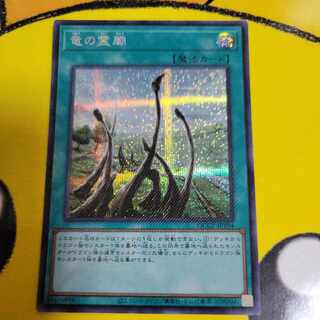 Dragon Shrine Secret Rare QCCP-JP194