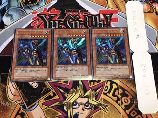 ジャッカルの聖戦士 301-017 ウルトラパラレル 3枚セット てら