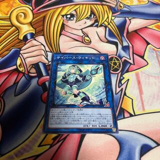 サイバース・ウィキッド ノーマル JP044