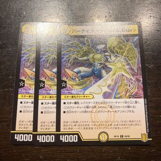 バーナイン <ラ・ベイル.Star> C 58/95