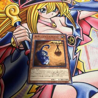 Watch cat - Watch cat Normal JP028