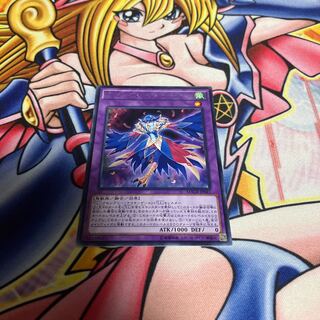 LL-IndipenCilan Nightingale rare JP041