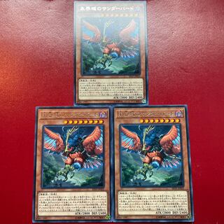 Danger! Thunderbird! Rare JP025