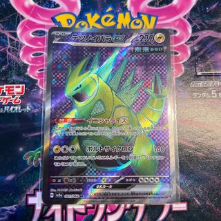 テツノイバラex SR 081/066