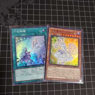 六花絢爛 SR　スノードロップ