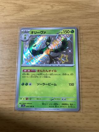 オリーヴァ S 205/190