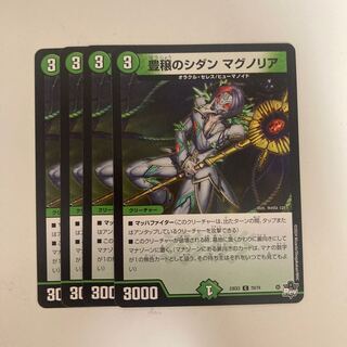 Sidan Magnolia C 70/74 in Abundance