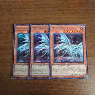 Blue-Eyes Alternative White Dragon Secret Rare JP008