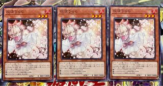 Ash Blossom & Joyous Spring Normal set of 3, unused