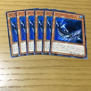 Lantern Shark N 6-piece set
