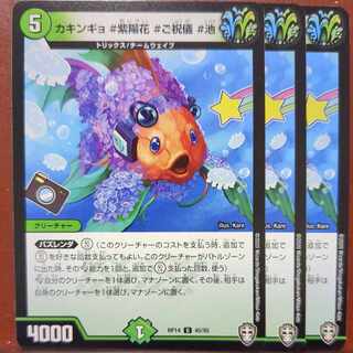 DinKiawe Ngyo#hydrangea#celebration#pond