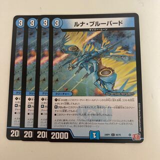 Luna Snubbull Bird C 60/75