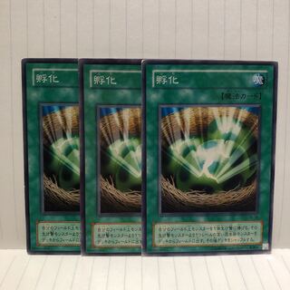 孵化　ノーマル　3枚　マホ子