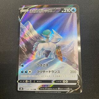 Hakuba Budrex V CSR 220/184