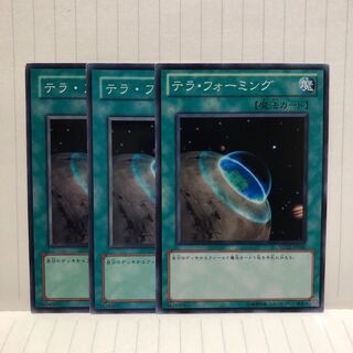 テラ・フォーミング　ノーマル　3枚　マホ子