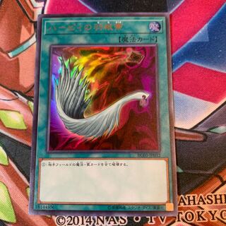 ハーピィの羽根帚 UR