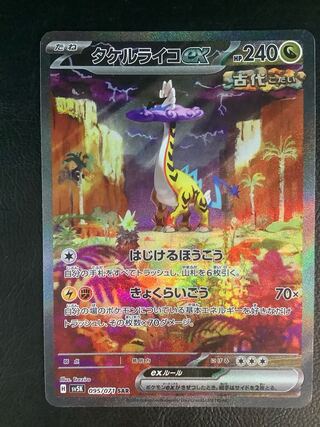 Takeru Raiko ex SAR 095/071