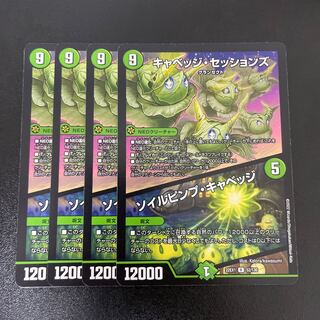 キャベッジ・セッションズ｜ソイルピンプ・キャベッジ R 52/130