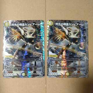 Spirit of Flash Cambiale [DM24RP2 TR1/TR11].