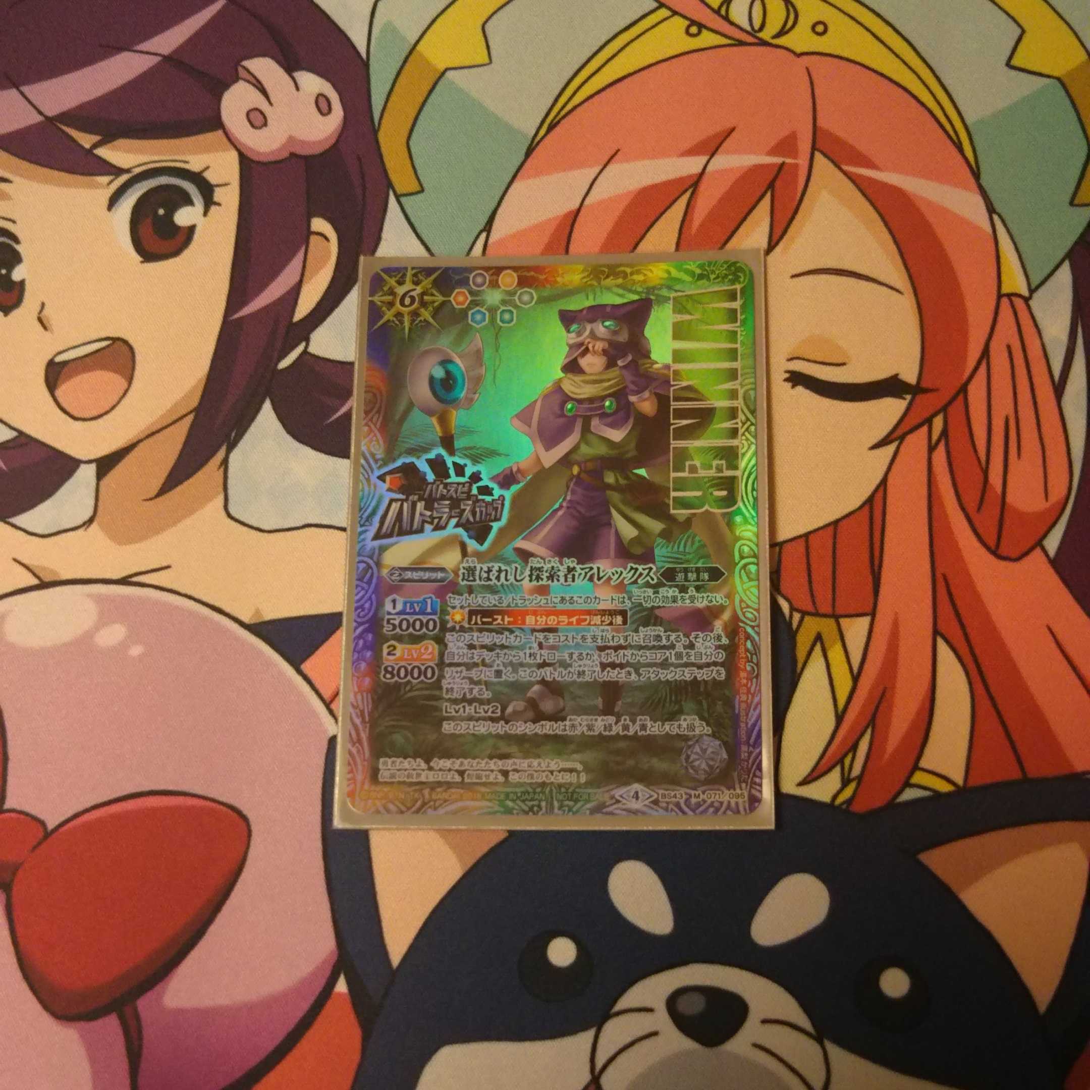 [Final Price Reduction] Battleship winnerx 1枚