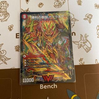 Ha Fighting Shoguryu Sword Gaiowu Burn｜Ha Fighting Gaiowu VIC 6a/25｜6b/25