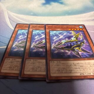 Abyss Shark (Cephaloscyllium sufflans, species of catshark from the western Pacific)