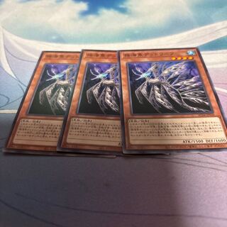 揺海魚デッドリーフ