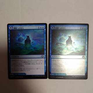 Immersion into fuzziness Normal & FOIL Set of 2