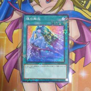 遊戯王　魂の解放　ノーマルパラレル1枚 Amazon.co.jp: 遊戯王カード 永遠の魂(ノーマルパラレル