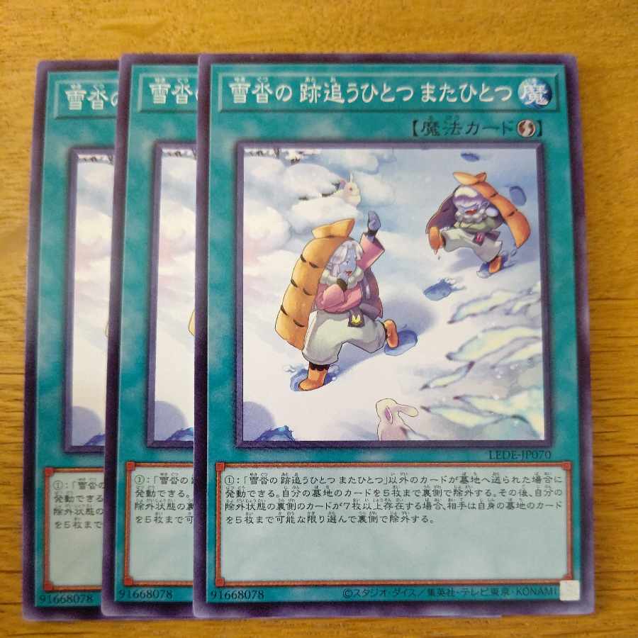 雪沓の 跡追うひとつ またひとつ ノーマル LEDE-JP070