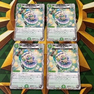 Bay B Segale (Black Treasure) U T10/T12