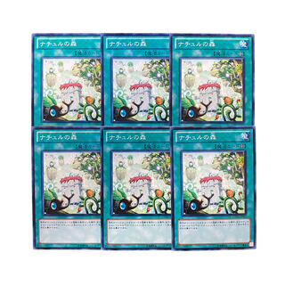4397 [King of Games] Naturia Forest 6-card set