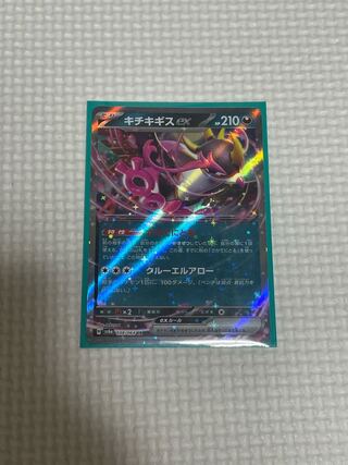 Kicchi Kigis ex RR 038/064