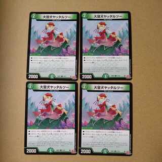 Great-breasted dog Yattarutu C 73/75