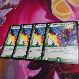 Land of Reflection Capricon U 31/55