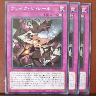 Bulette Kuza Seal Normal