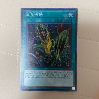 Predapractice [Super] {DP22-JP047}