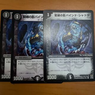 Shadow bound shadow of bondage