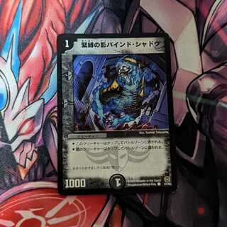 緊縛の影バインド・シャドウ